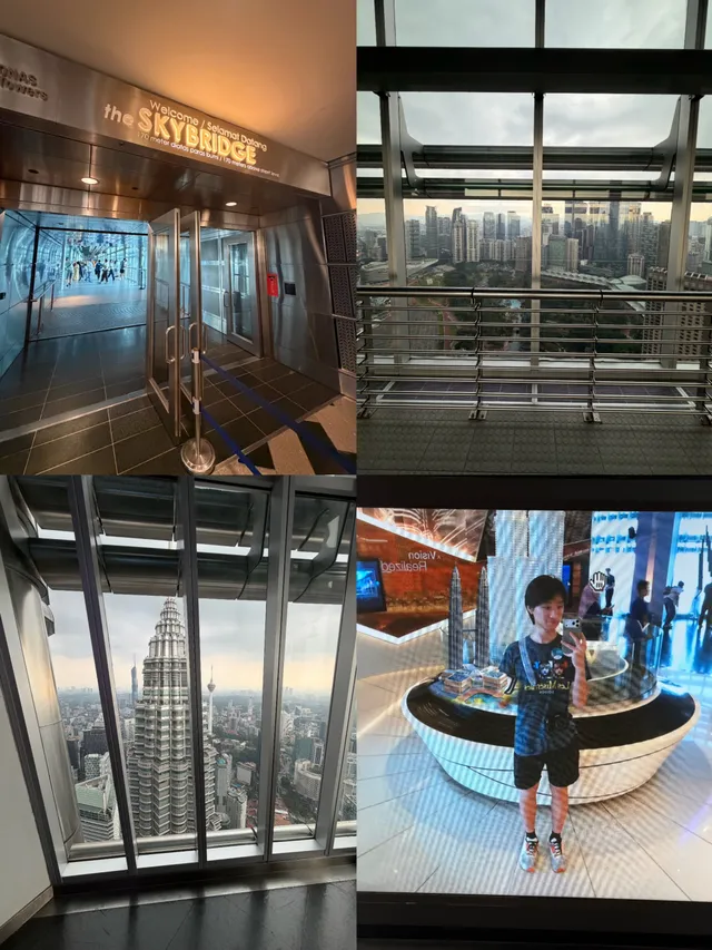 View from the KLCC Skybridge
